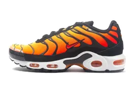 Nike Air Max Plus OG
